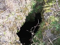 otta Forcato20110306 013